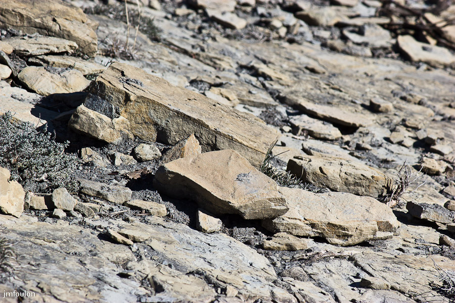 marnes-houlettes -013.jpg - Nous montons maintenant plein Sud et hors piste en suivant une draille (chemin de transhumance)